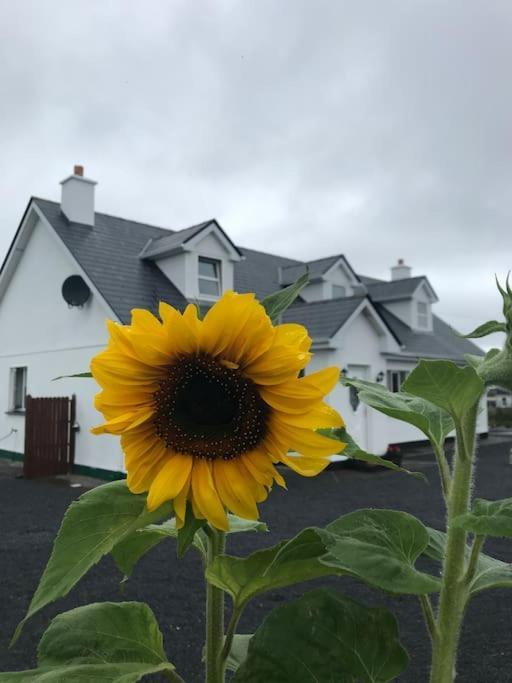 Ferienwohnung Curlews Rest - Gateway To The Aran Islands Galway Exterior foto